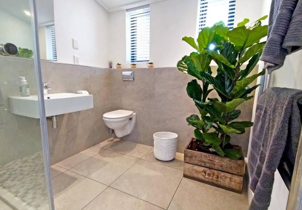 Central Modern Studio Apartment, Hermanus Waterfront Экстерьер фото